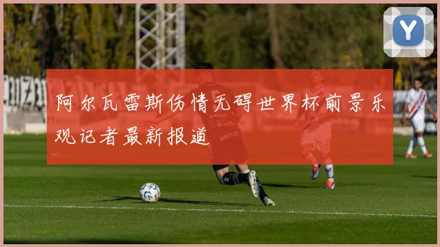阿尔瓦雷斯伤情无碍世界杯前景乐观记者最新报道