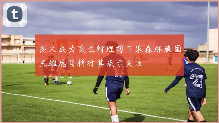 热火成为莫兰特理想下家森林狼国王雄鹿同样对其表示关注